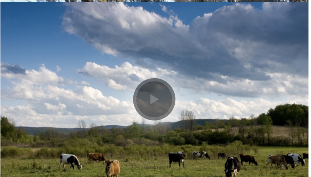 Shirley Sherrod’s Fight for Civil Rights and Farmers